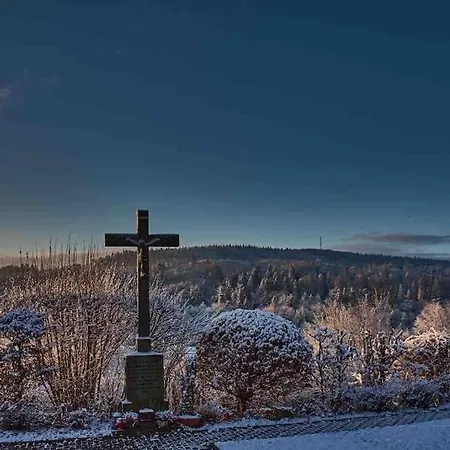 Holiday home Zur Wied *