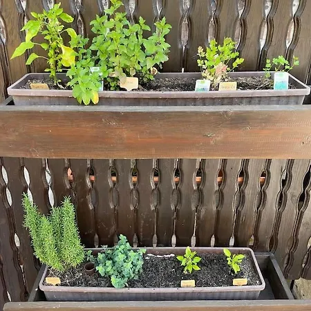 Holiday home Zur Wied Oberlahr