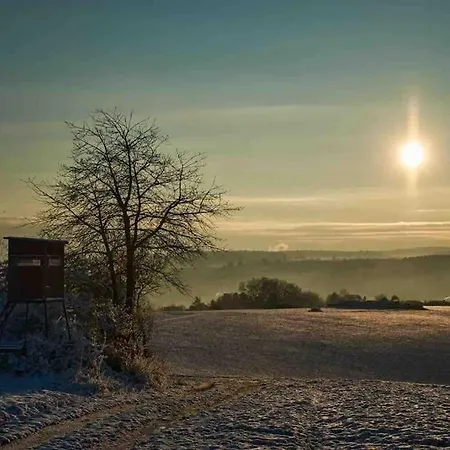 Holiday home Zur Wied