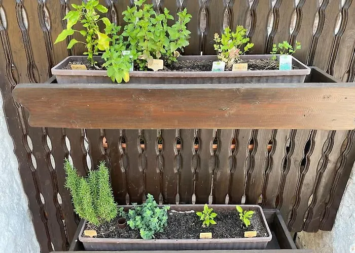 Holiday home Zur Wied Oberlahr